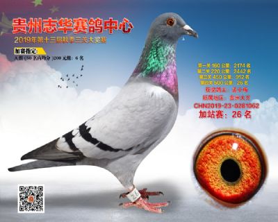 贵州志华加站赛26名