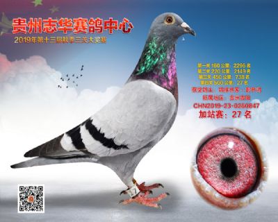 贵州志华加站赛27名