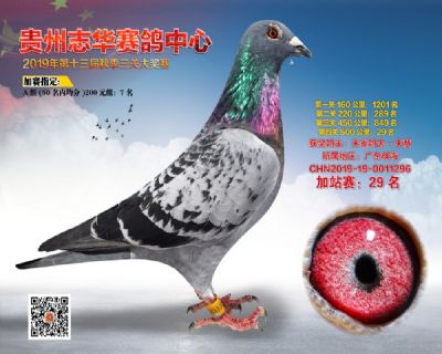 贵州志华加站赛29名