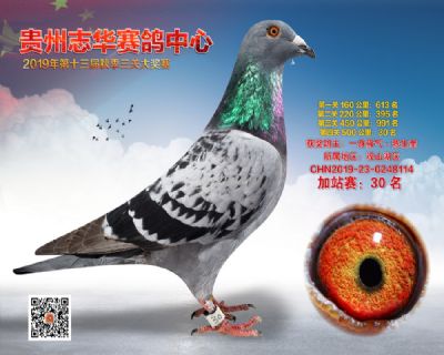 贵州志华加站赛30名