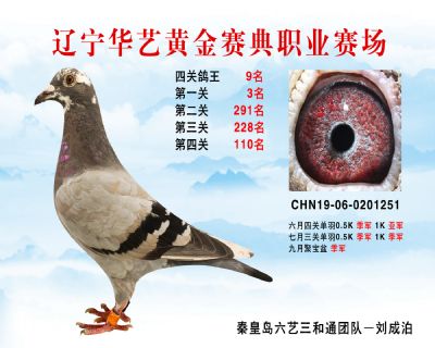 華藝黃金賽典四關鴿王9名