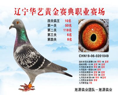 華藝黃金賽典四關鴿王10名