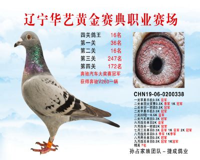 華藝黃金賽典四關鴿王16名