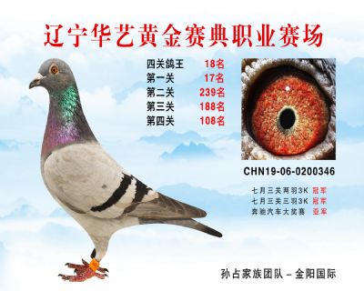 華藝黃金賽典四關鴿王18名