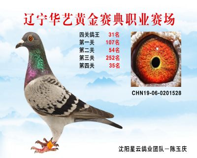 華藝黃金賽典四關鴿王31名