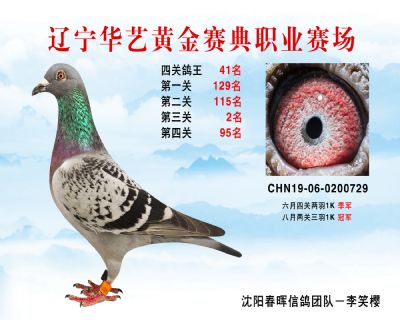 華藝黃金賽典四關鴿王41名
