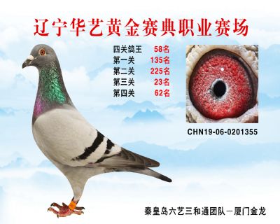 華藝黃金賽典四關鴿王58名