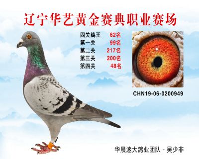 華藝黃金賽典四關鴿王62名