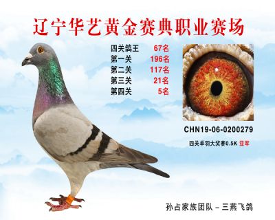 華藝黃金賽典四關鴿王67名