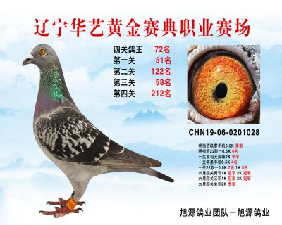華藝黃金賽典四關鴿王72名
