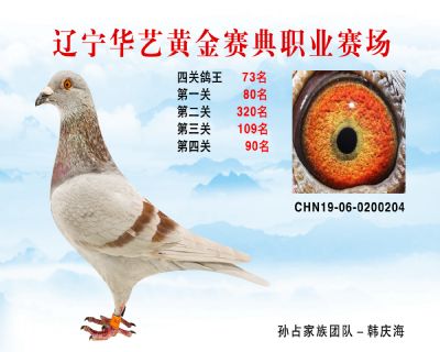 華藝黃金賽典四關鴿王73名