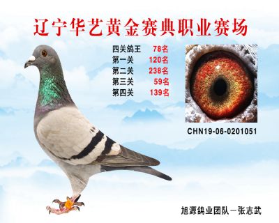 華藝黃金賽典四關鴿王78名