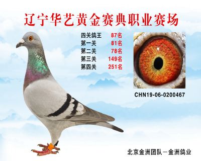華藝黃金賽典四關鴿王87名