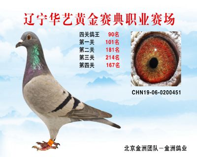 華藝黃金賽典四關鴿王90名
