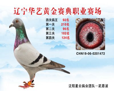 華藝黃金賽典四關鴿王92名