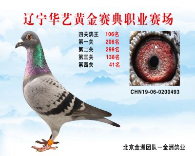 華藝黃金賽典四關鴿王106名