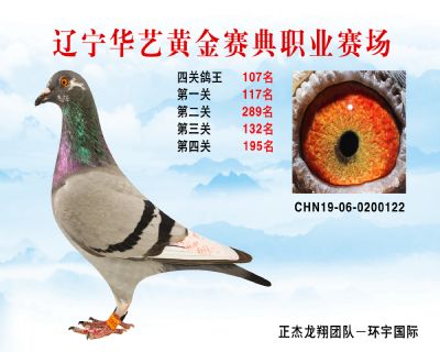 華藝黃金賽典四關鴿王107名