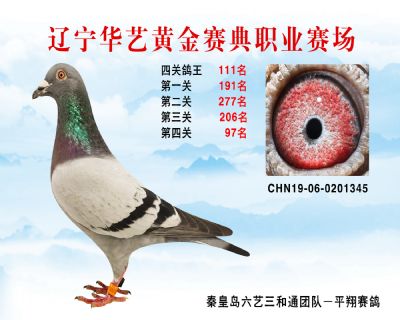 華藝黃金賽典四關鴿王111名