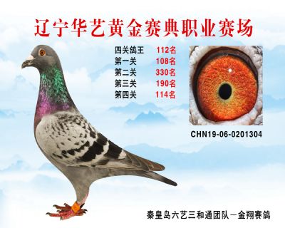 華藝黃金賽典四關鴿王112名