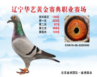 華藝黃金賽典四關鴿王120名