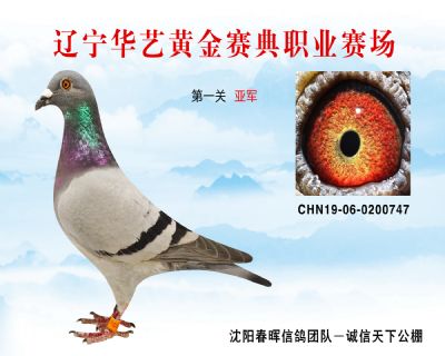 華藝黃金賽典第一關亞軍