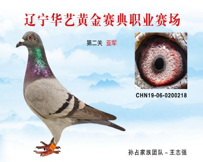 華藝黃金賽典第二關亞軍