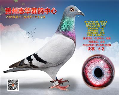 贵州志华决赛6名