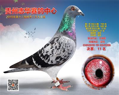 贵州志华决赛11名