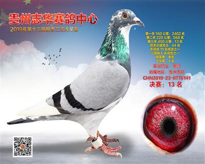 贵州志华决赛13名