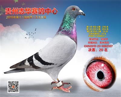 贵州志华决赛20名
