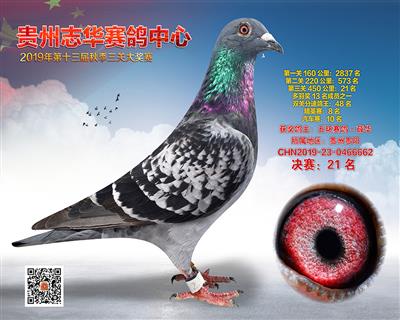 贵州志华决赛21名