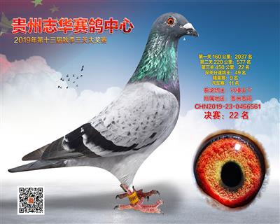 贵州志华决赛22名