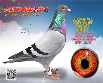 贵州志华决赛23名