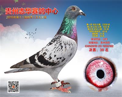 贵州志华决赛30名