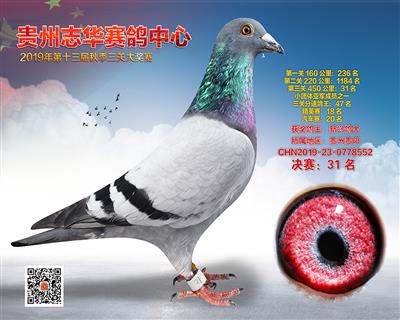贵州志华决赛31名