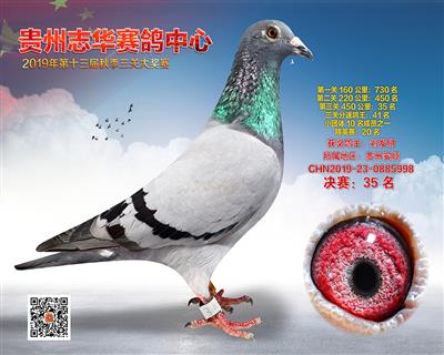 贵州志华决赛35名