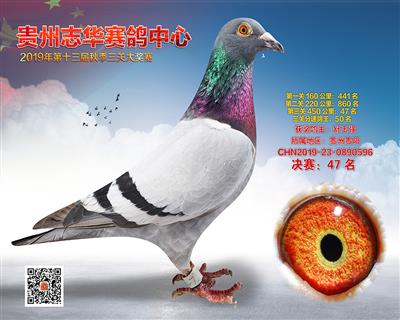 贵州志华决赛47名