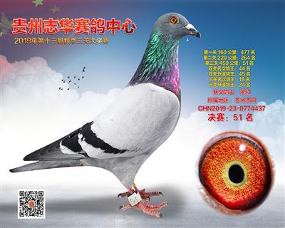 贵州志华决赛51名