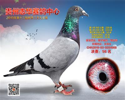 贵州志华决赛56名