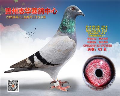 贵州志华决赛63名