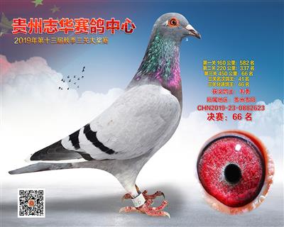 贵州志华决赛66名