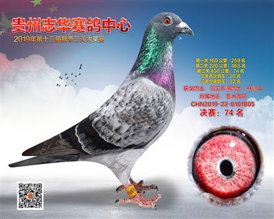贵州志华决赛74名