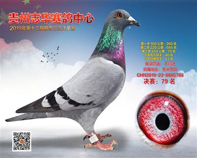 贵州志华决赛79名