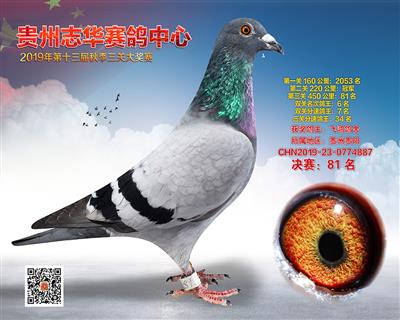 贵州志华决赛81名
