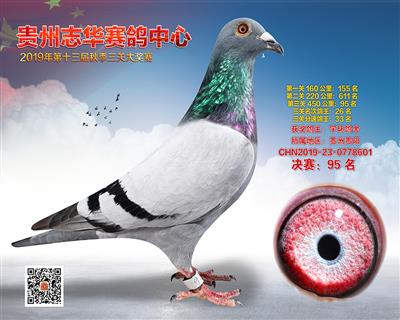 贵州志华决赛95名