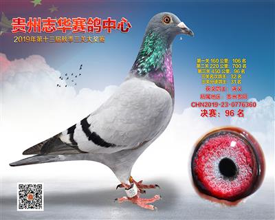 贵州志华决赛96名