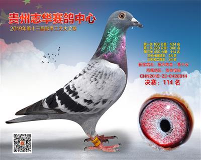 贵州志华决赛114名