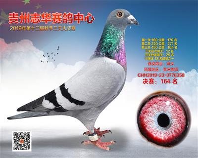 贵州志华决赛164名