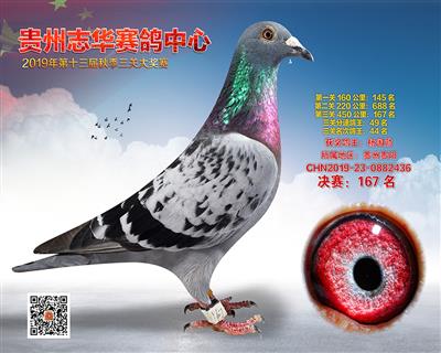 贵州志华决赛167名