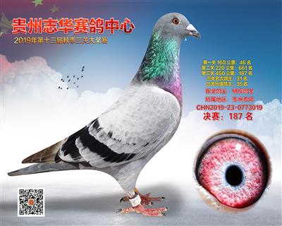 贵州志华决赛187名